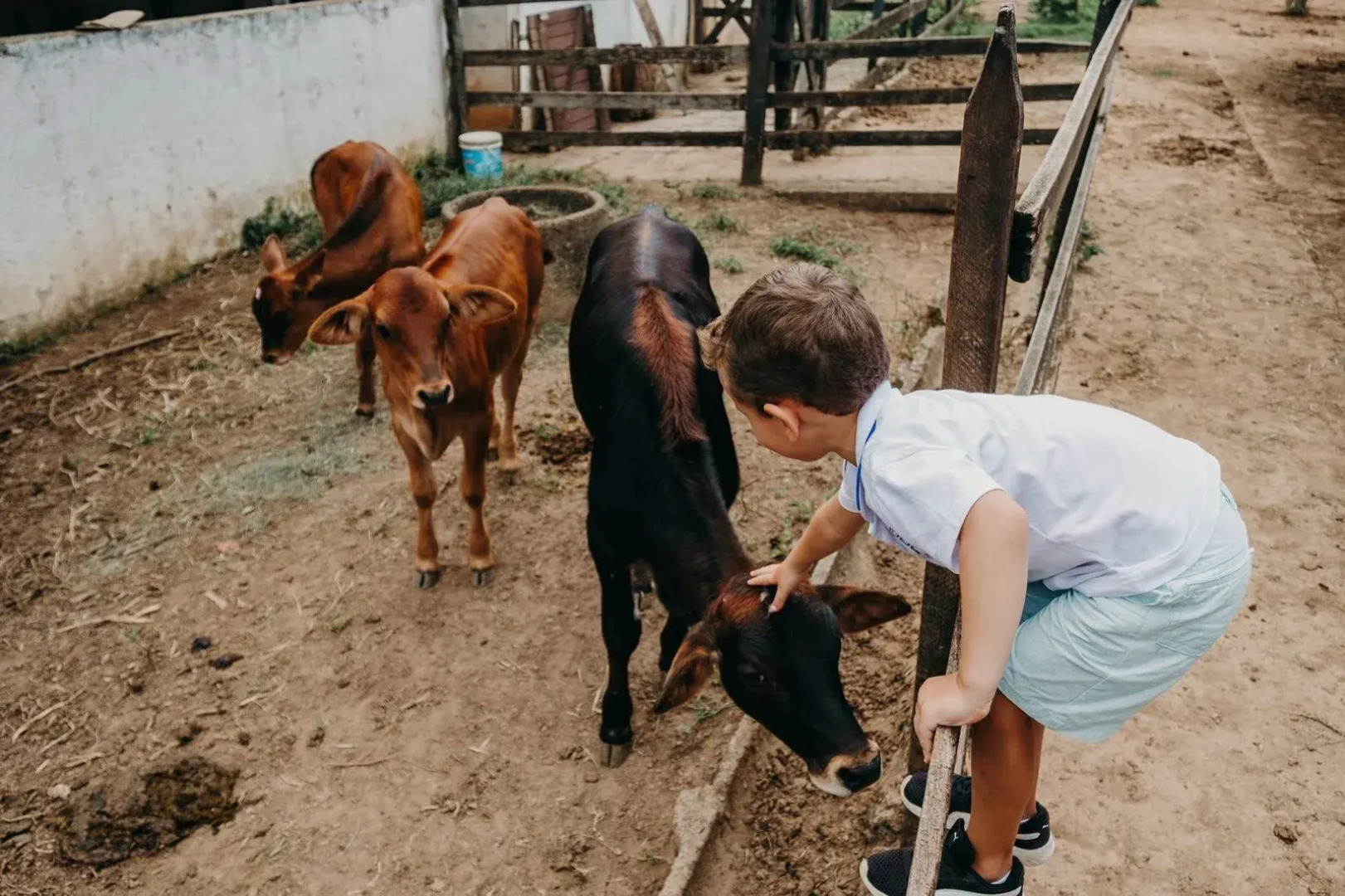 Solar Fazenda Do Cedro