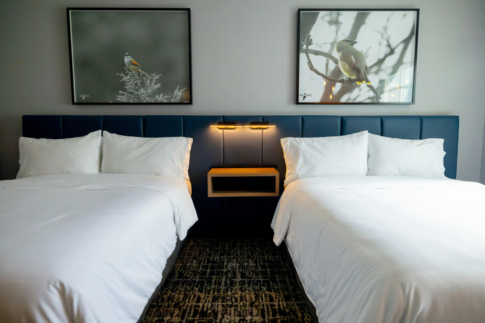 voco Saltillo Suites by IHG