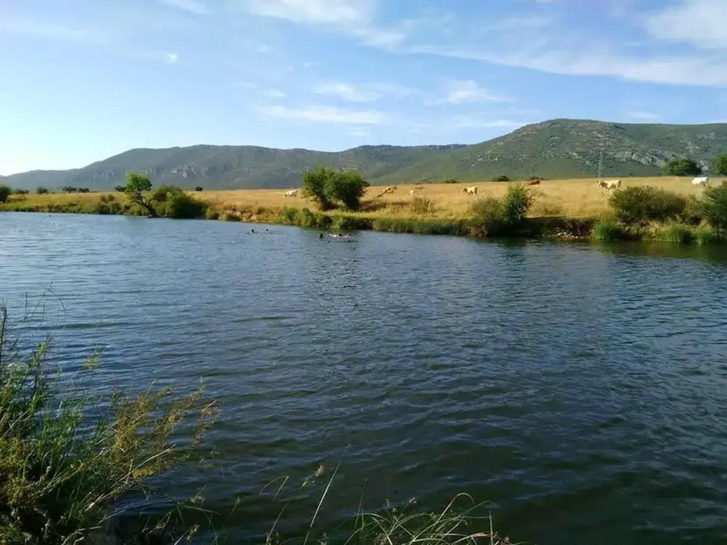 House With 5 Bedrooms in Puebla de Don Rodrigo, With Wonderful Mountain View and Furnished Terrace