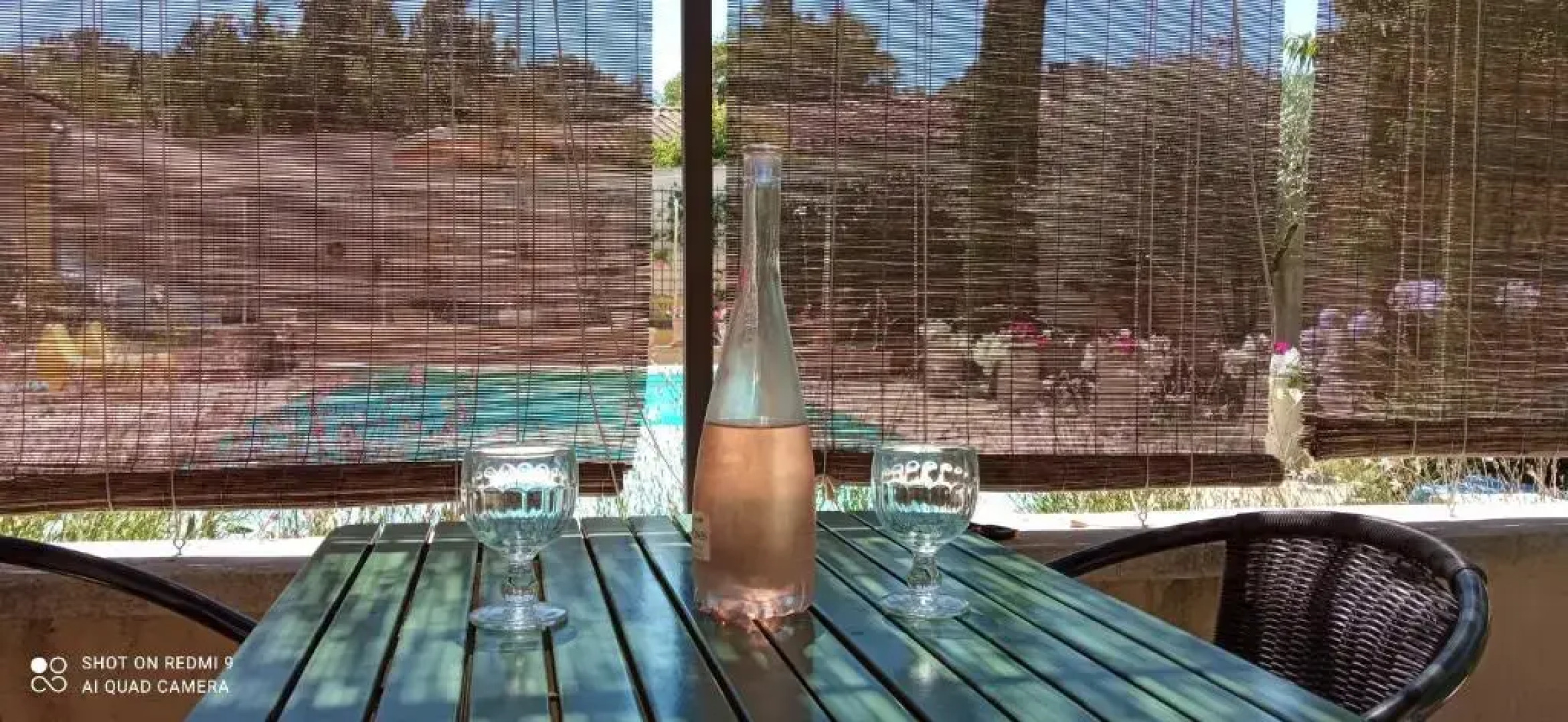 Sous les chênes, en Provence