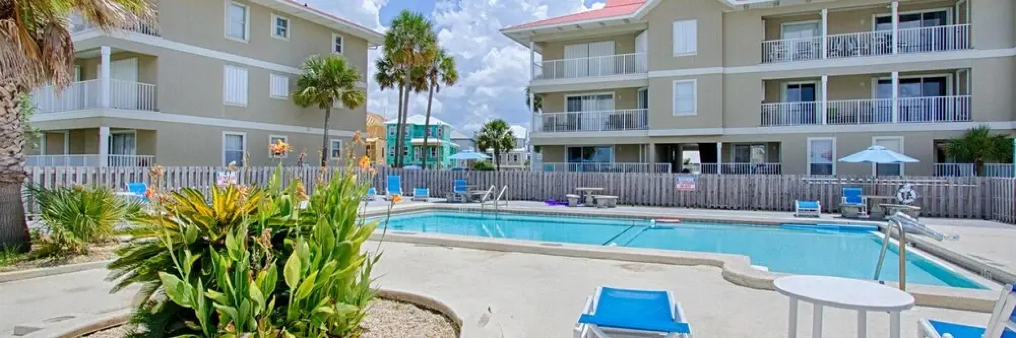 Sunset Harbor Palms 1-0311