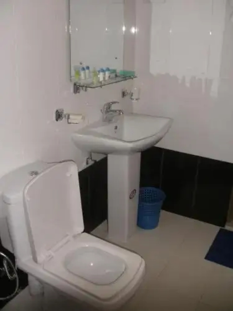 The White Swan House