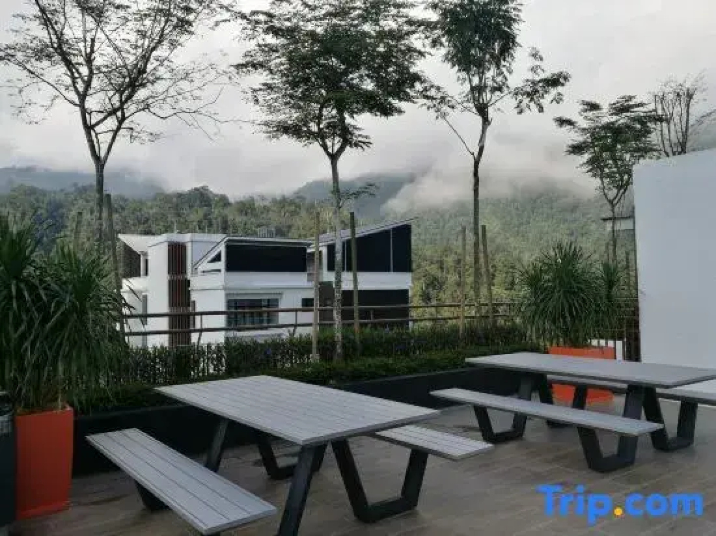 The Loft@Midhill Genting Highlands (Free Wi-Fi)