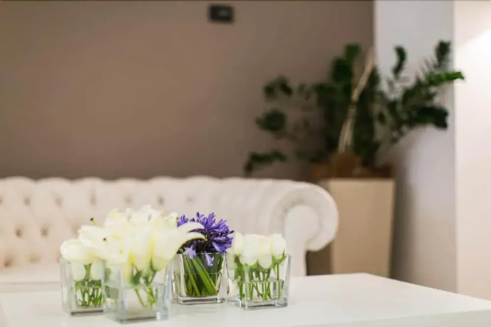 Street Hotel Comacchio