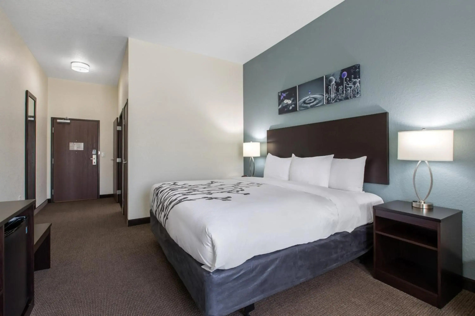 Sleep Inn & Suites Ankeny - Des Moines