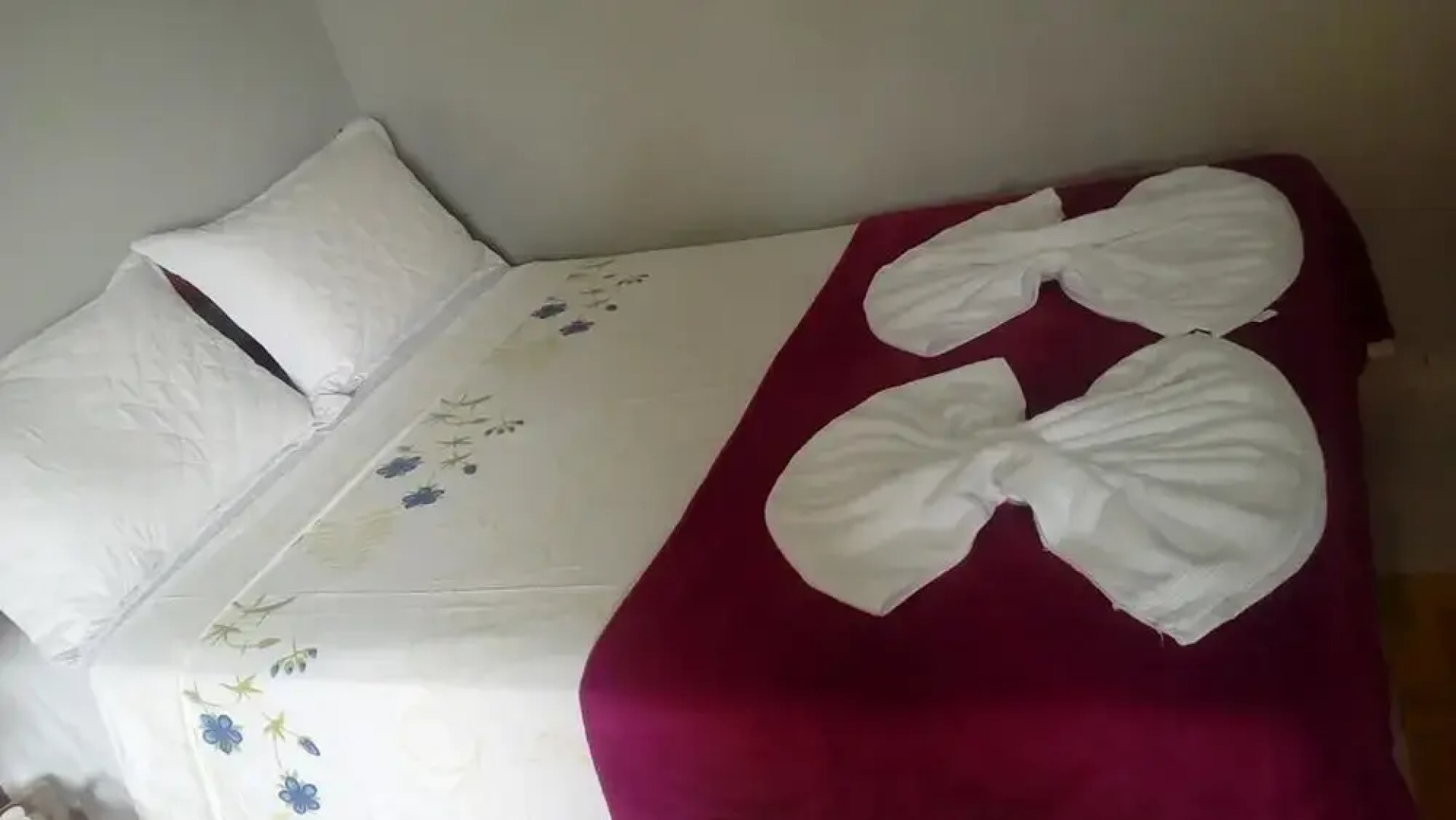 Eco-Alter Pousada & Turismo