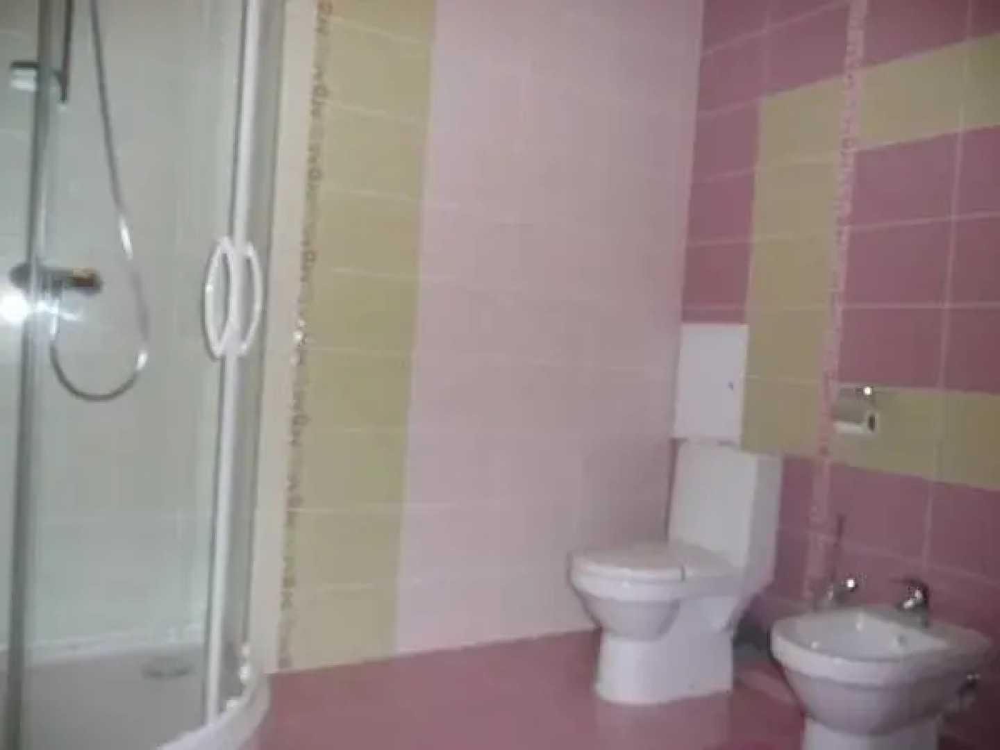 Цвит Папороти