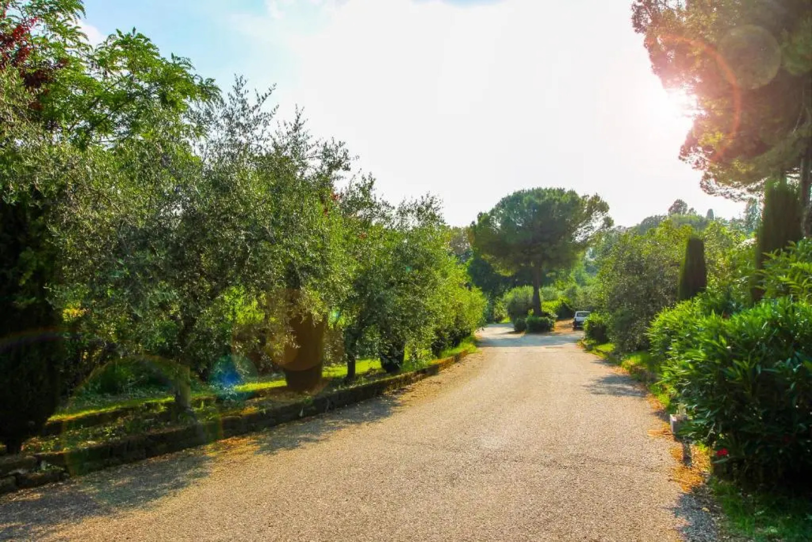 Lake & Country Holidays