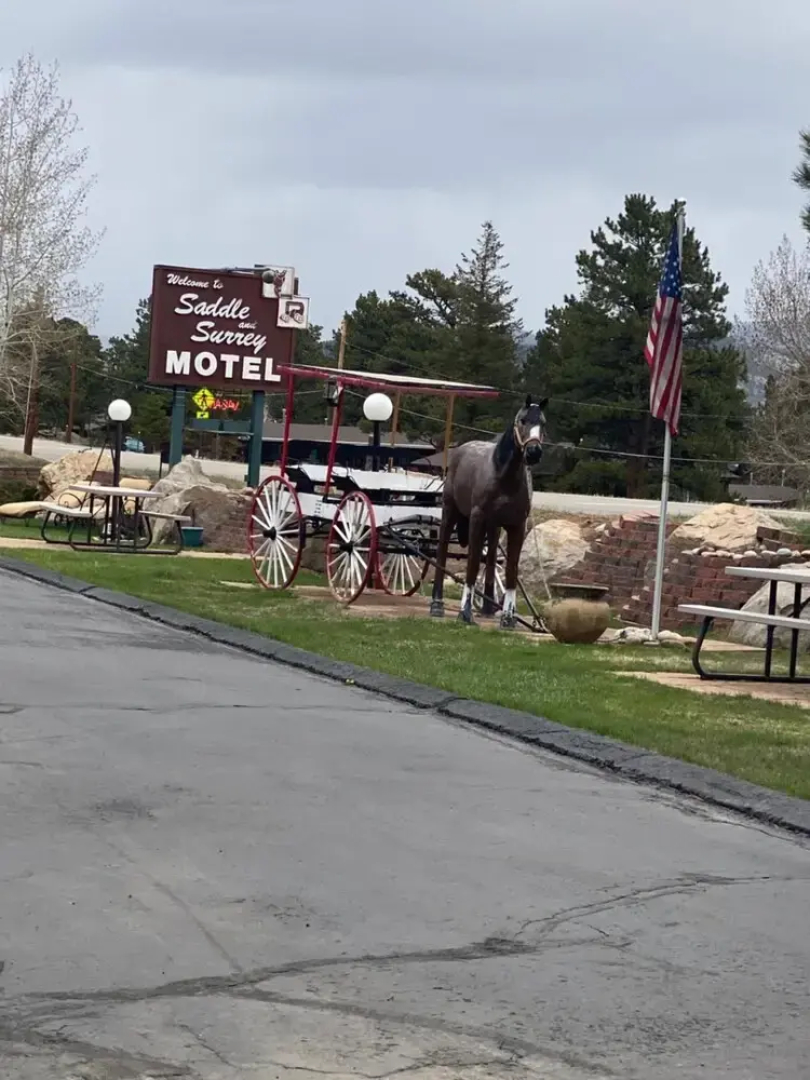 Saddle & Surrey Motel