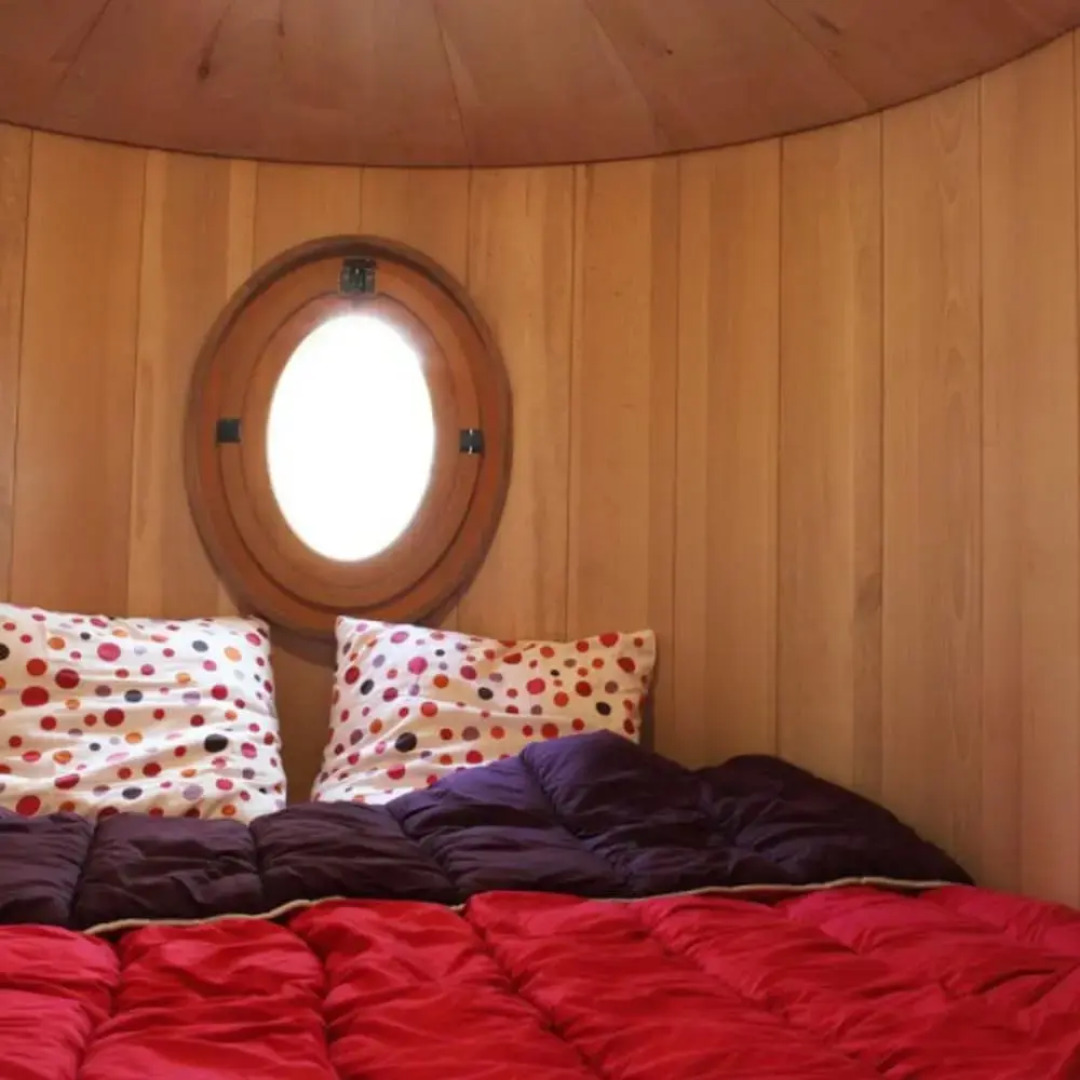 Nids d'hôtes insolites