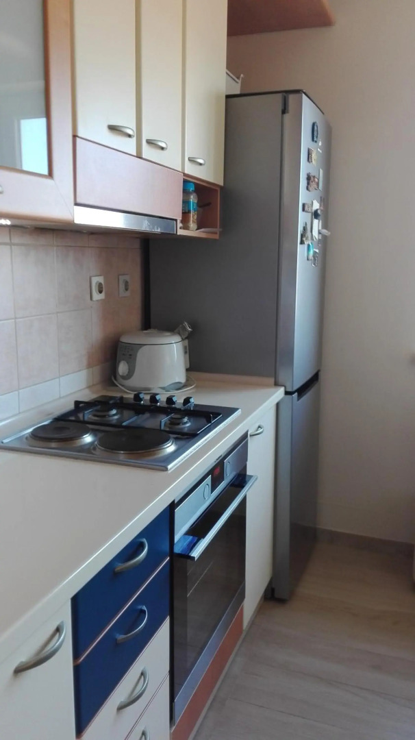 Apartment Vladan