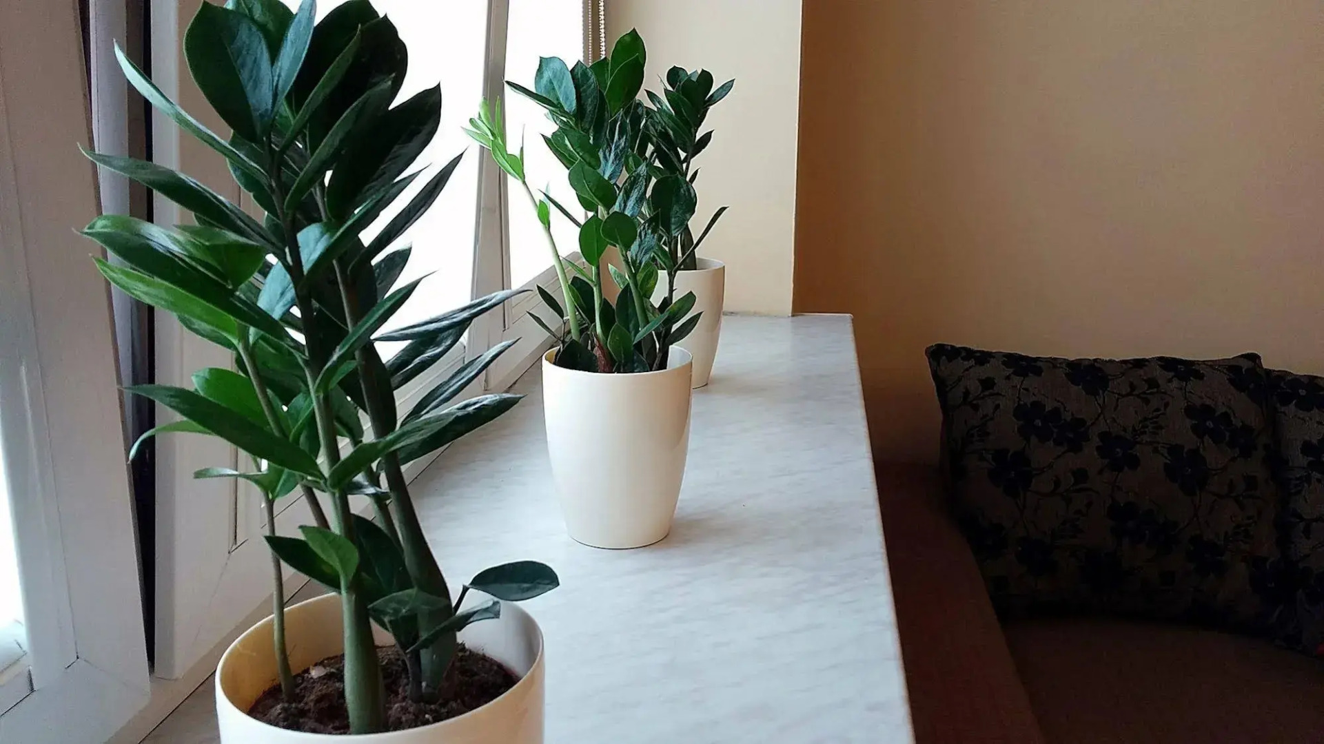 Warsaw Modlin Airport Apartment