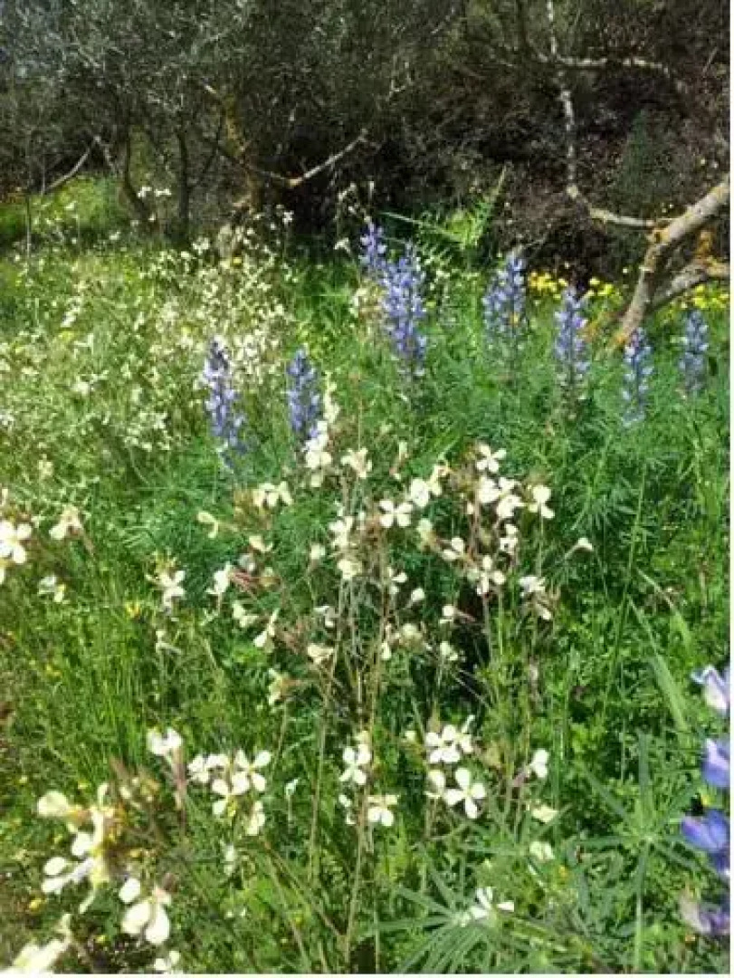 Aldo Bed & Breakfast