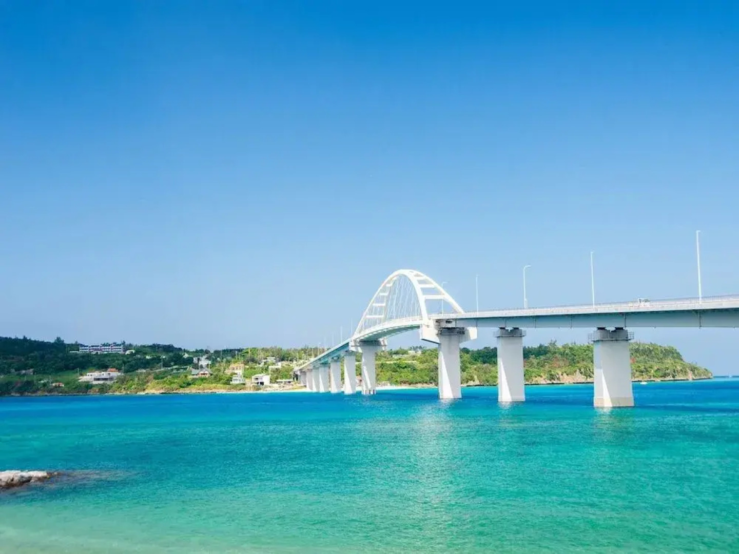 Matayoshi Coffee Farm