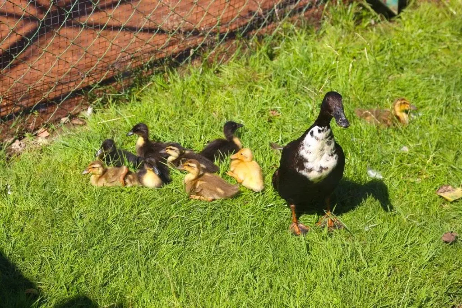 Familienhotel Fasching