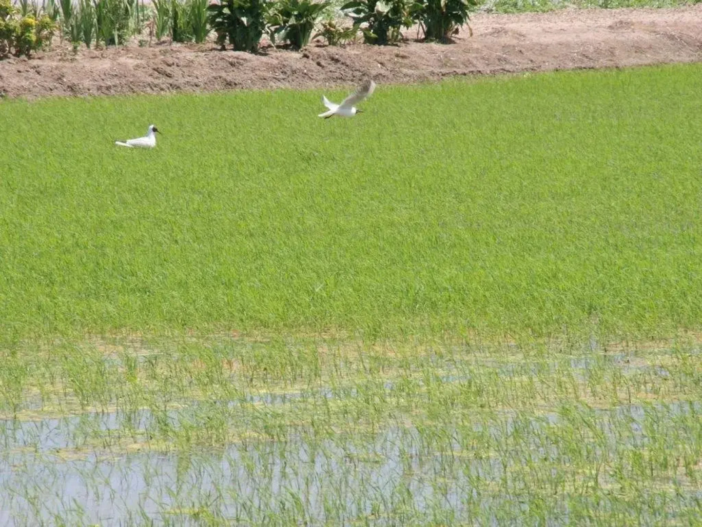 B&B Casa Rural Mas del Rey