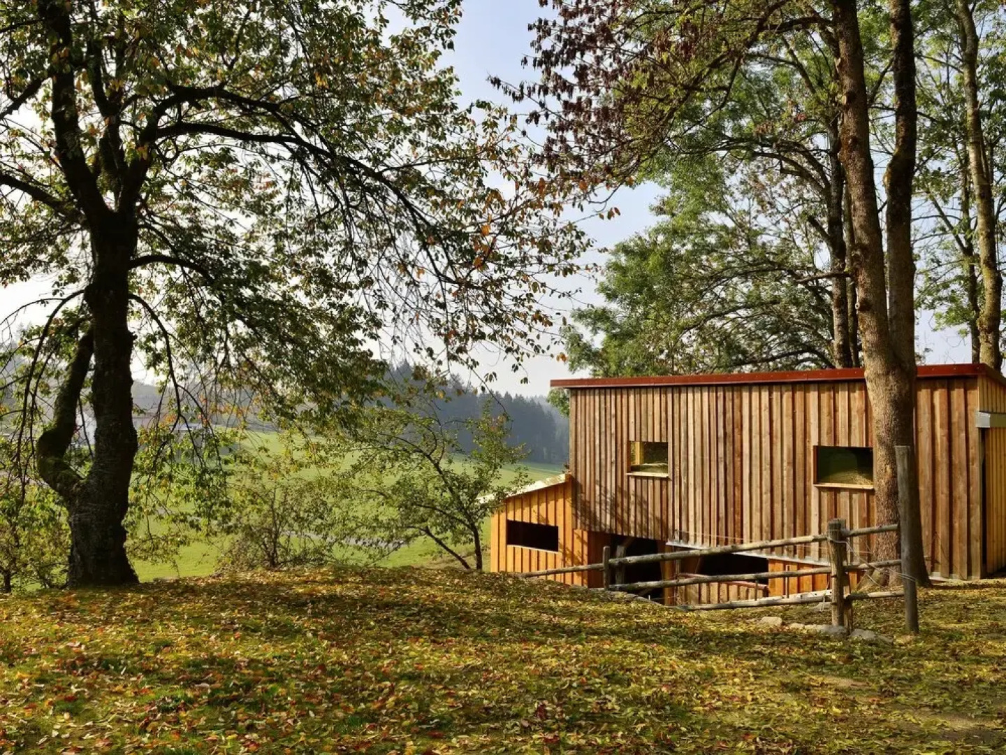 Traditional Apartment in Altreichenau near Forest