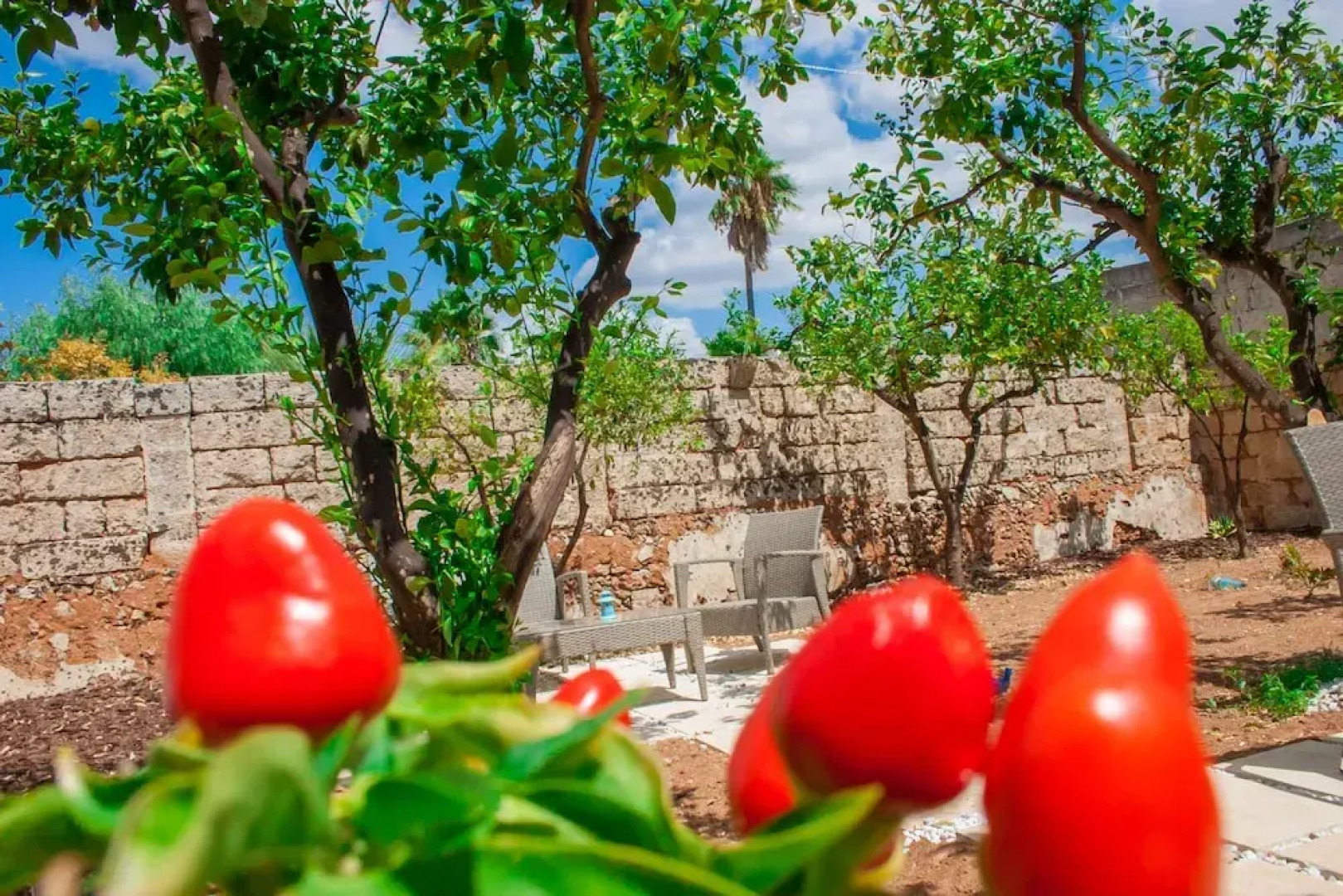 Riz Salento Guest House