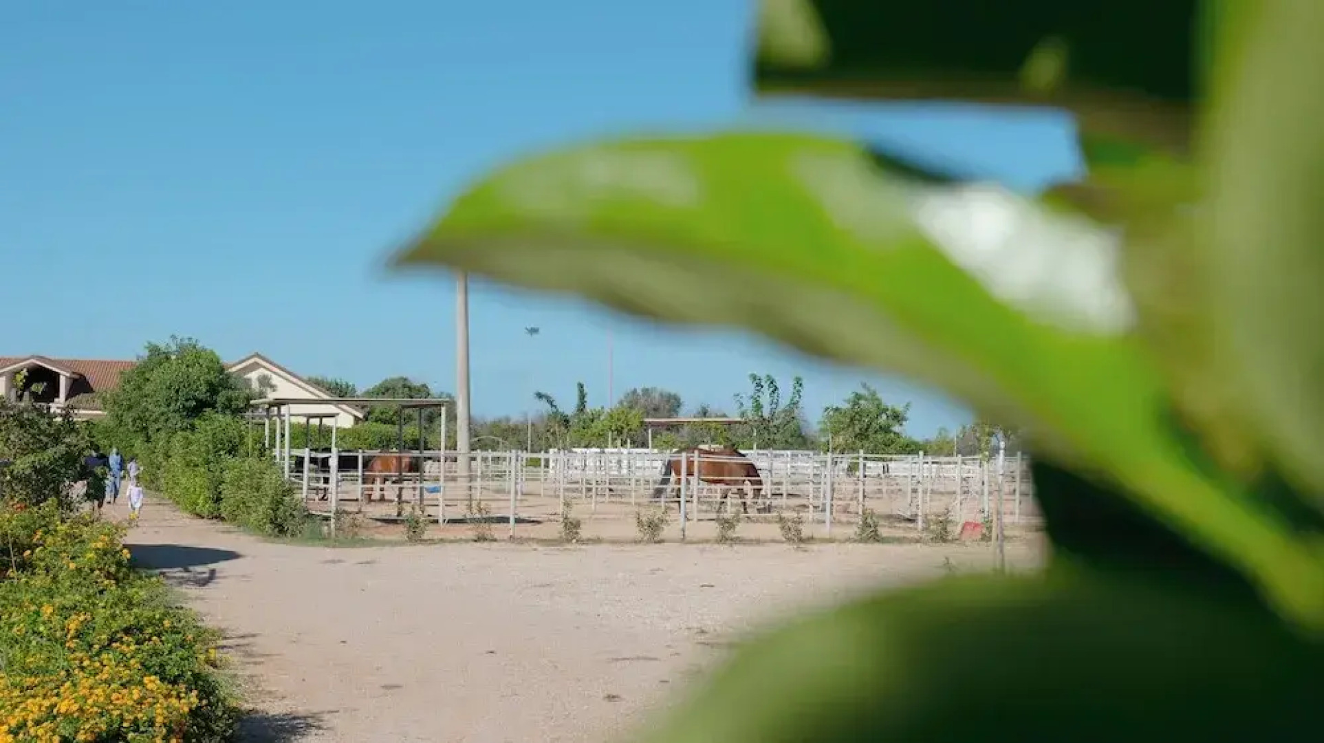 Complesso Turistico Alberghiero Delle Rose