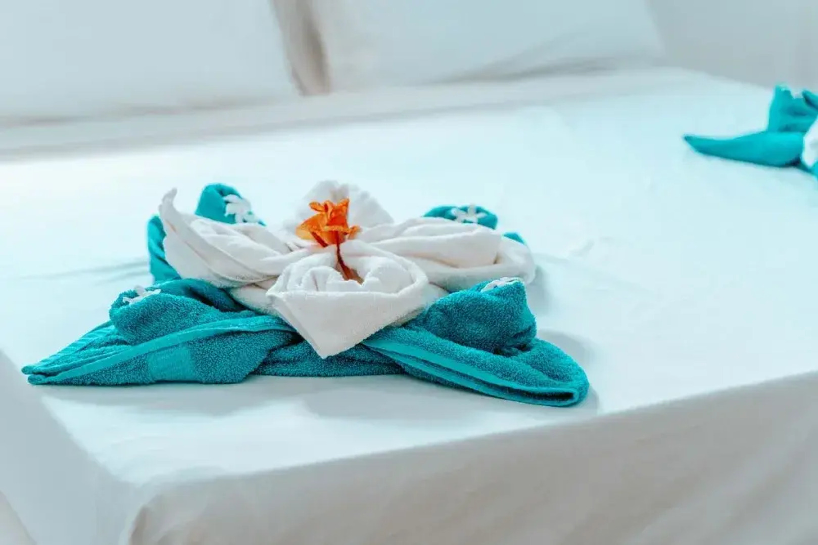 Simba Apartment Hotel