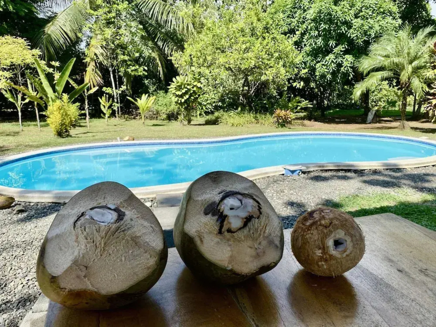 Uvita Oasis Retreat with Villa Cabins and Apartment