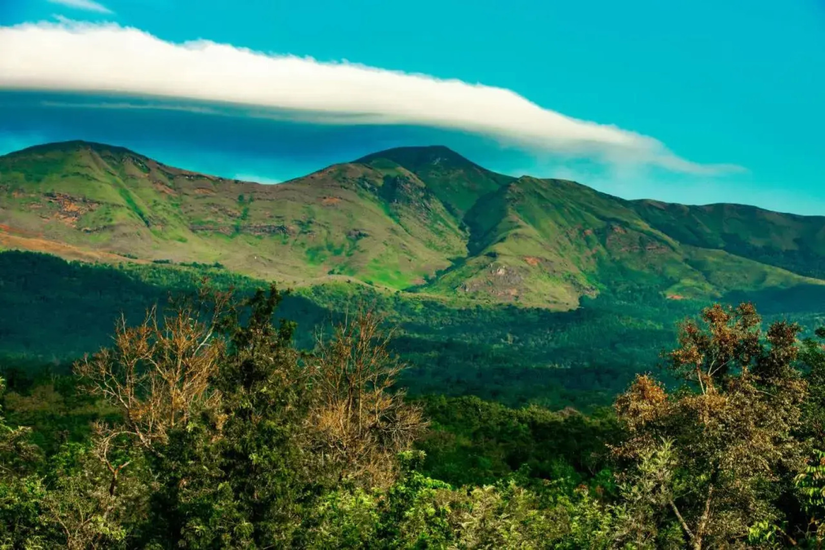 The Blossom Resort Chikmagalur