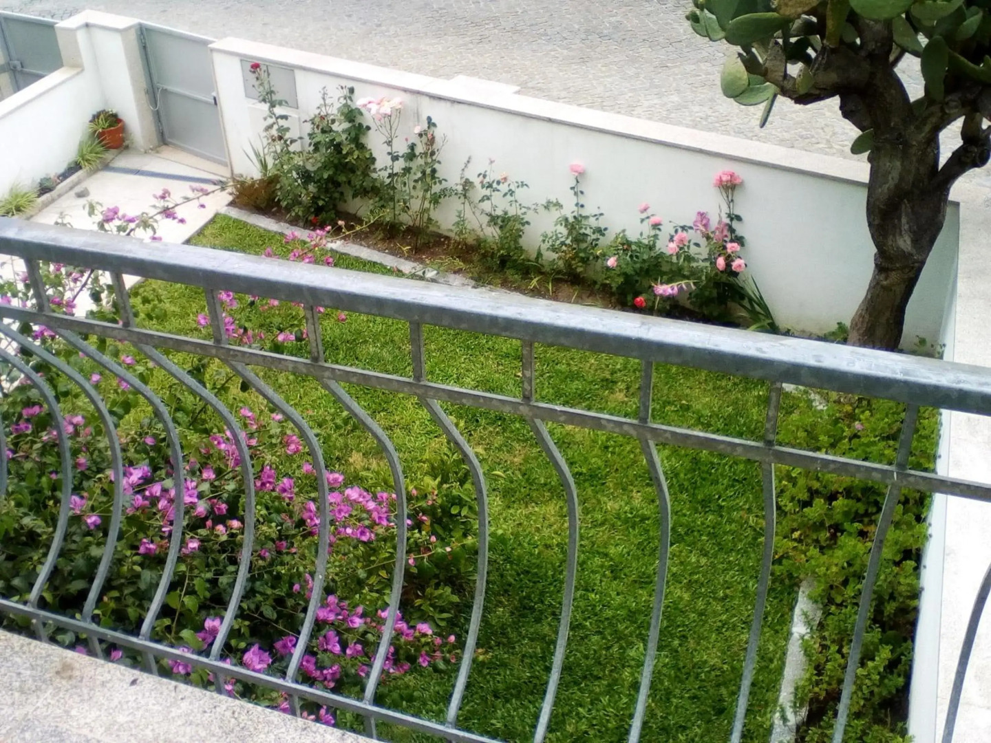 Home Sleep Home Fafe