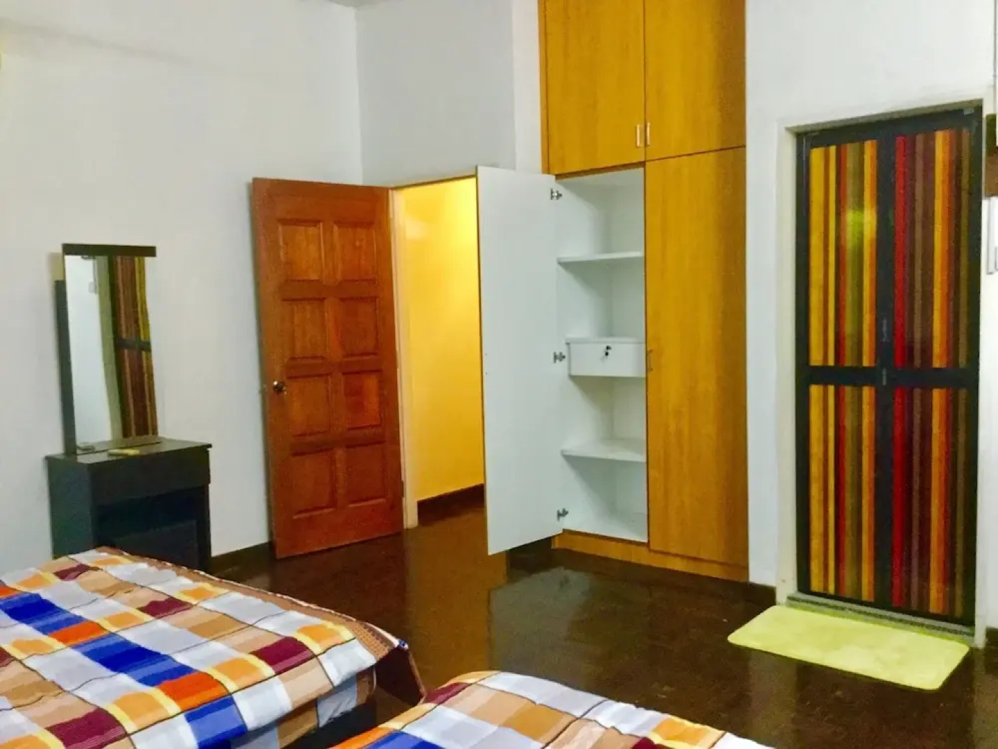 Sea Lion by the Beach