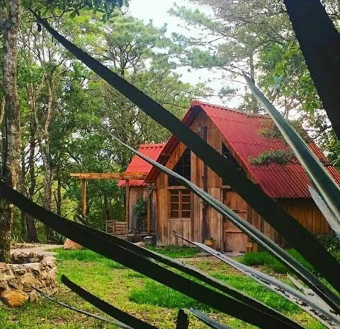 Hotel Boutique Marduk Gardens