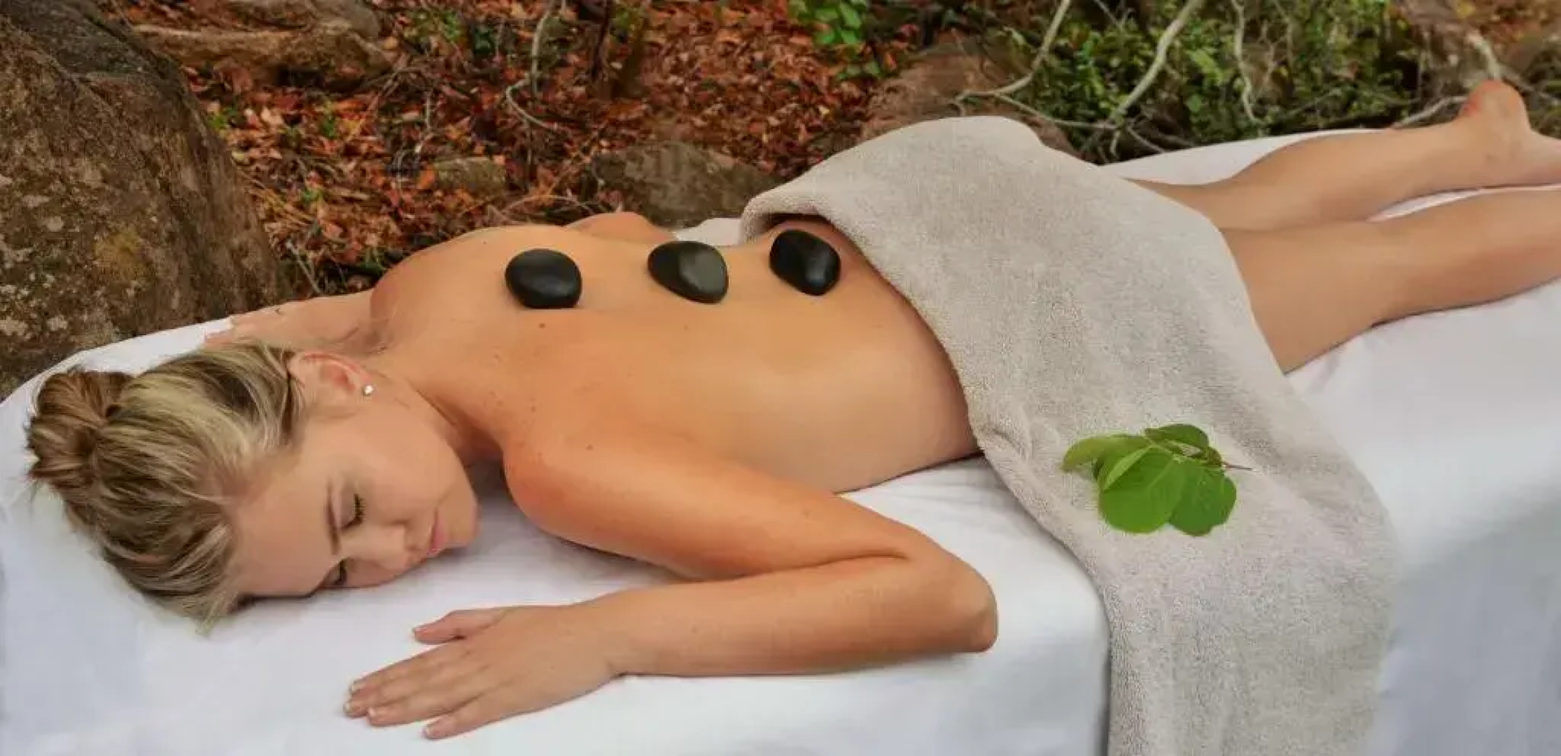 Wild & Free Game Lodge