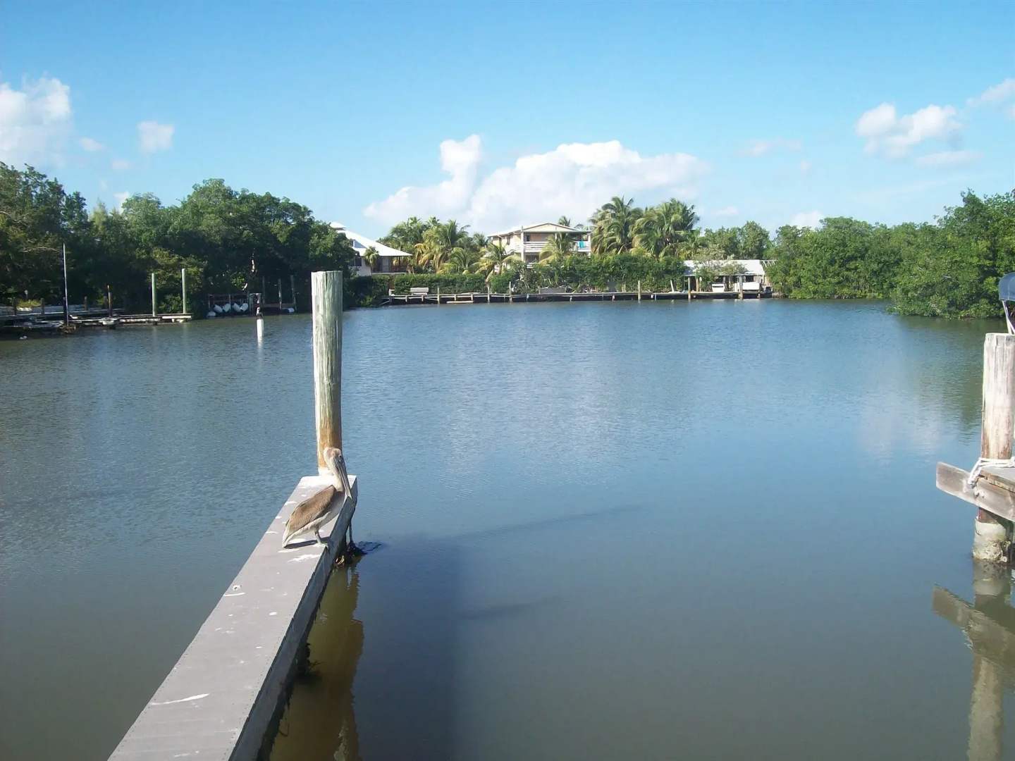 Kingsail Resort