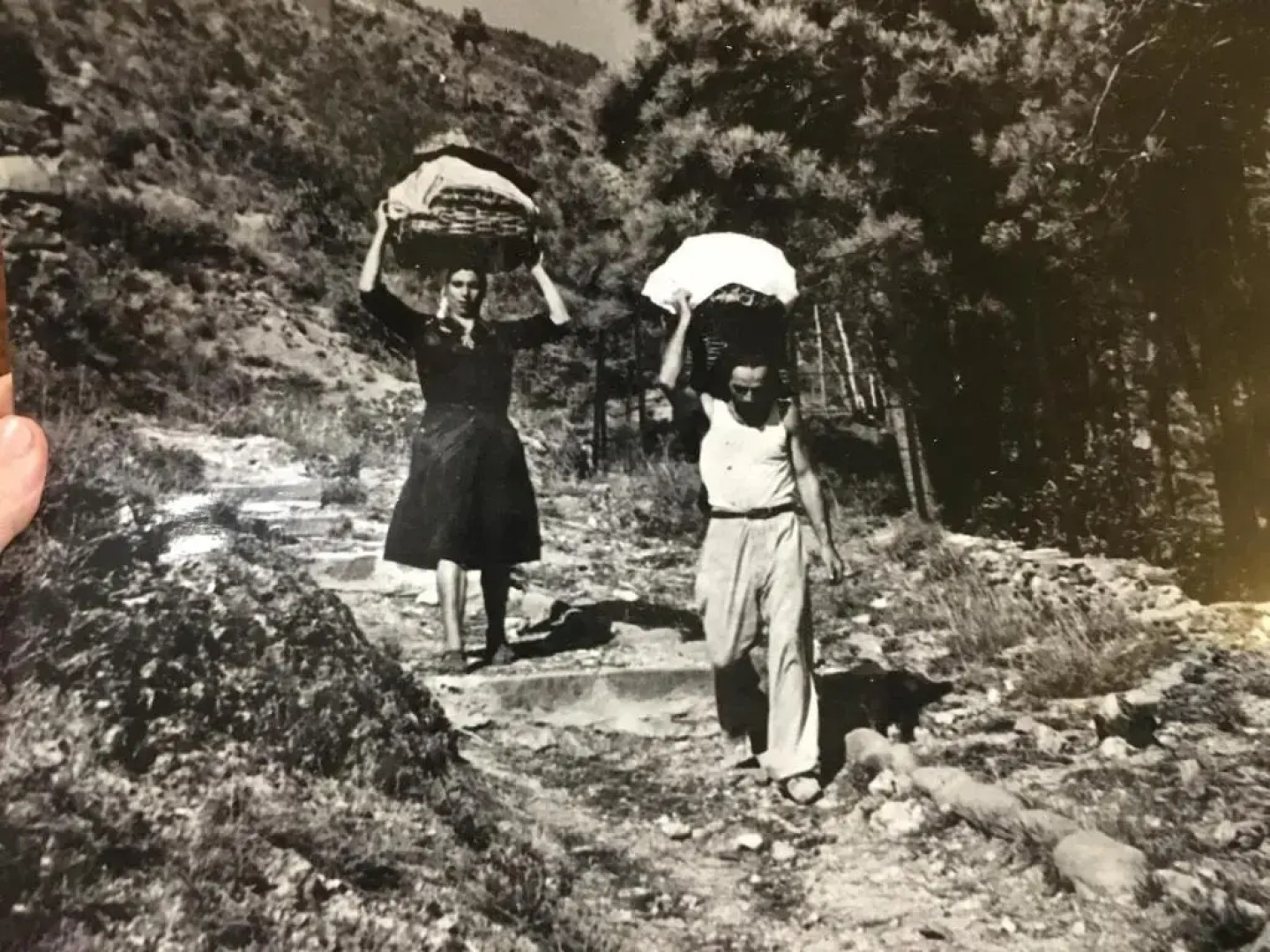 Zia Letizia Bed and Wine