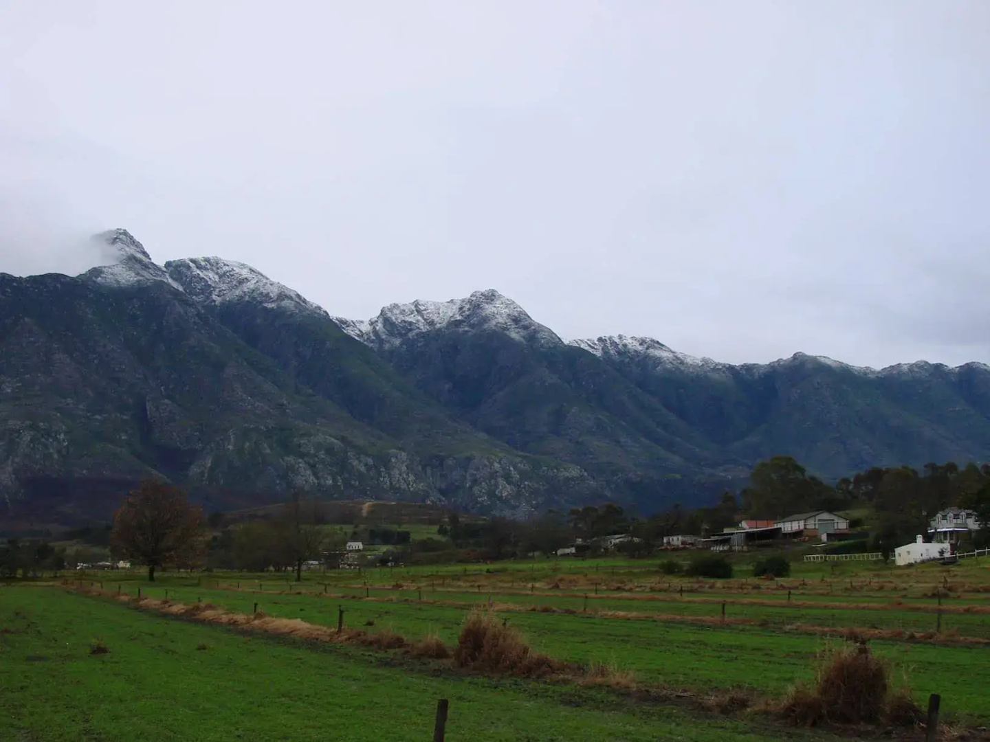 Wildebraam Berry Estate