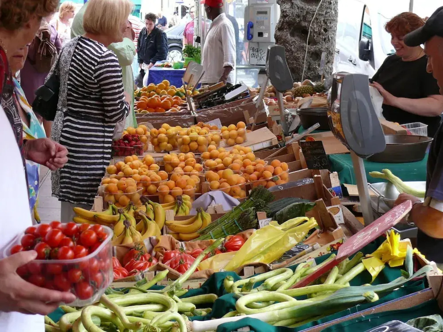 Classy Apartment in La Turbie With Fenced Garden
