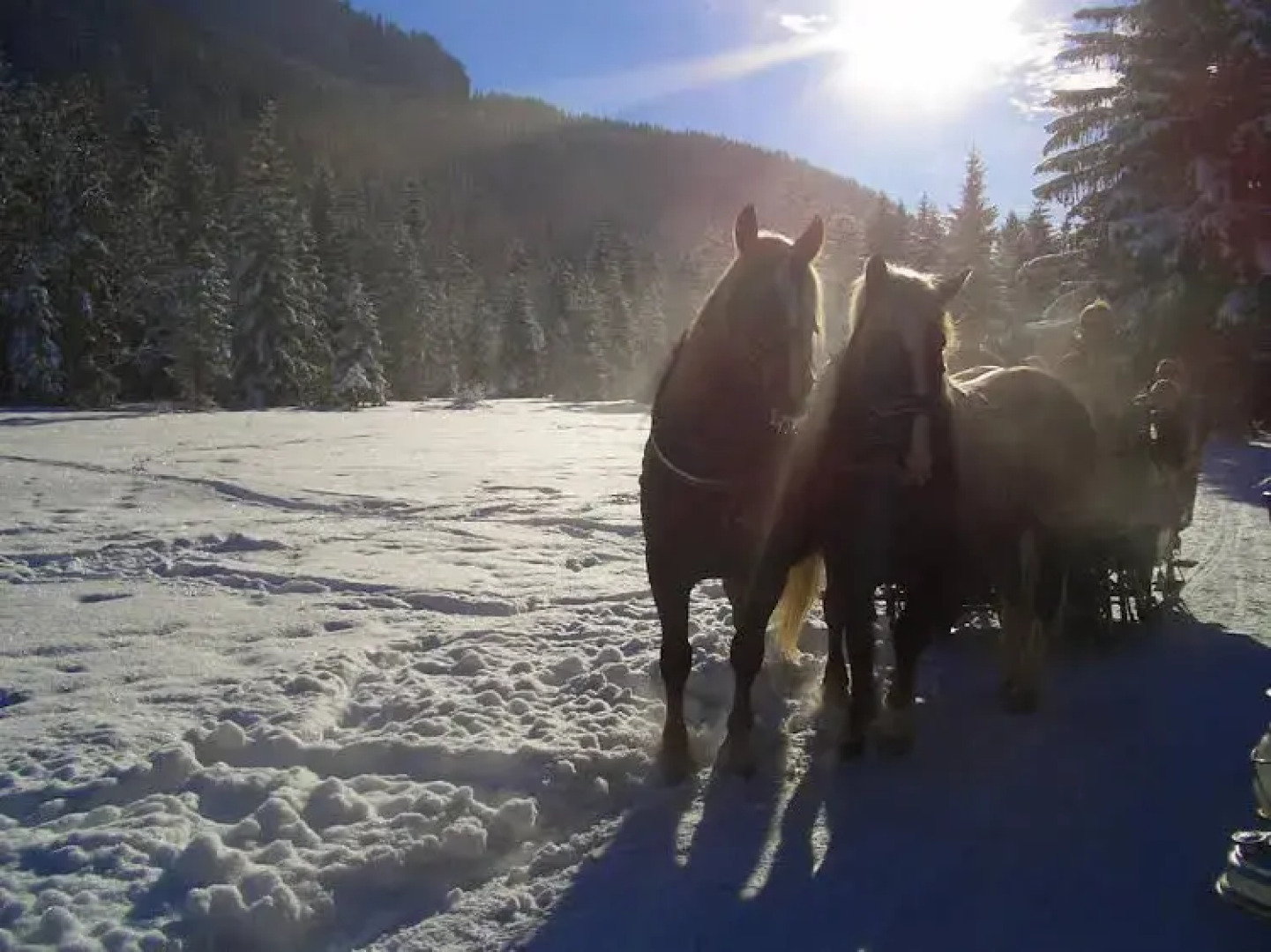 Hotel Ritter am Tegernsee