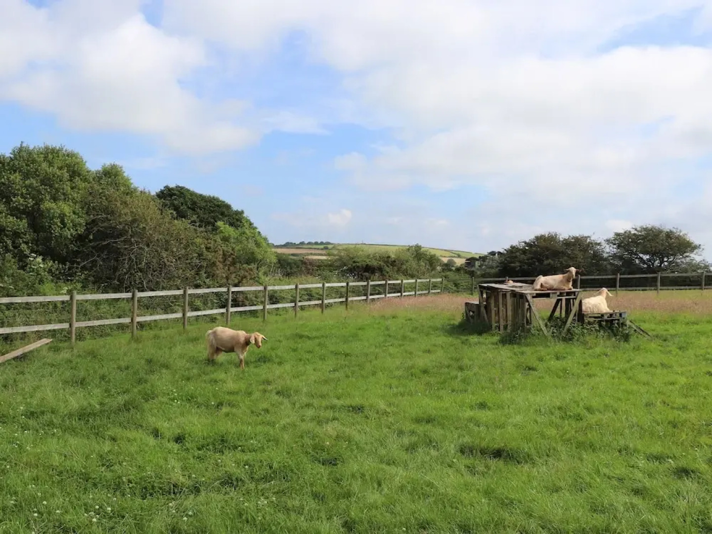 The Dairy