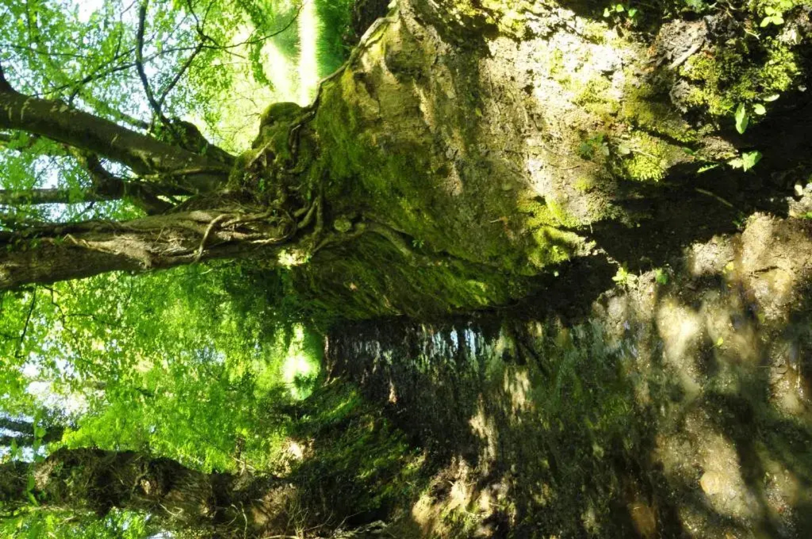 Chambre d'hotes Au Vieux Moulin