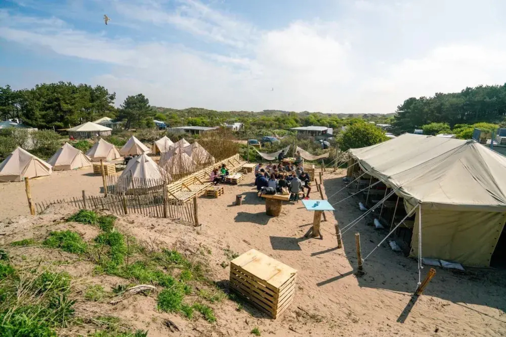 Surfana Surf Hostel Bloemendaal Campsite