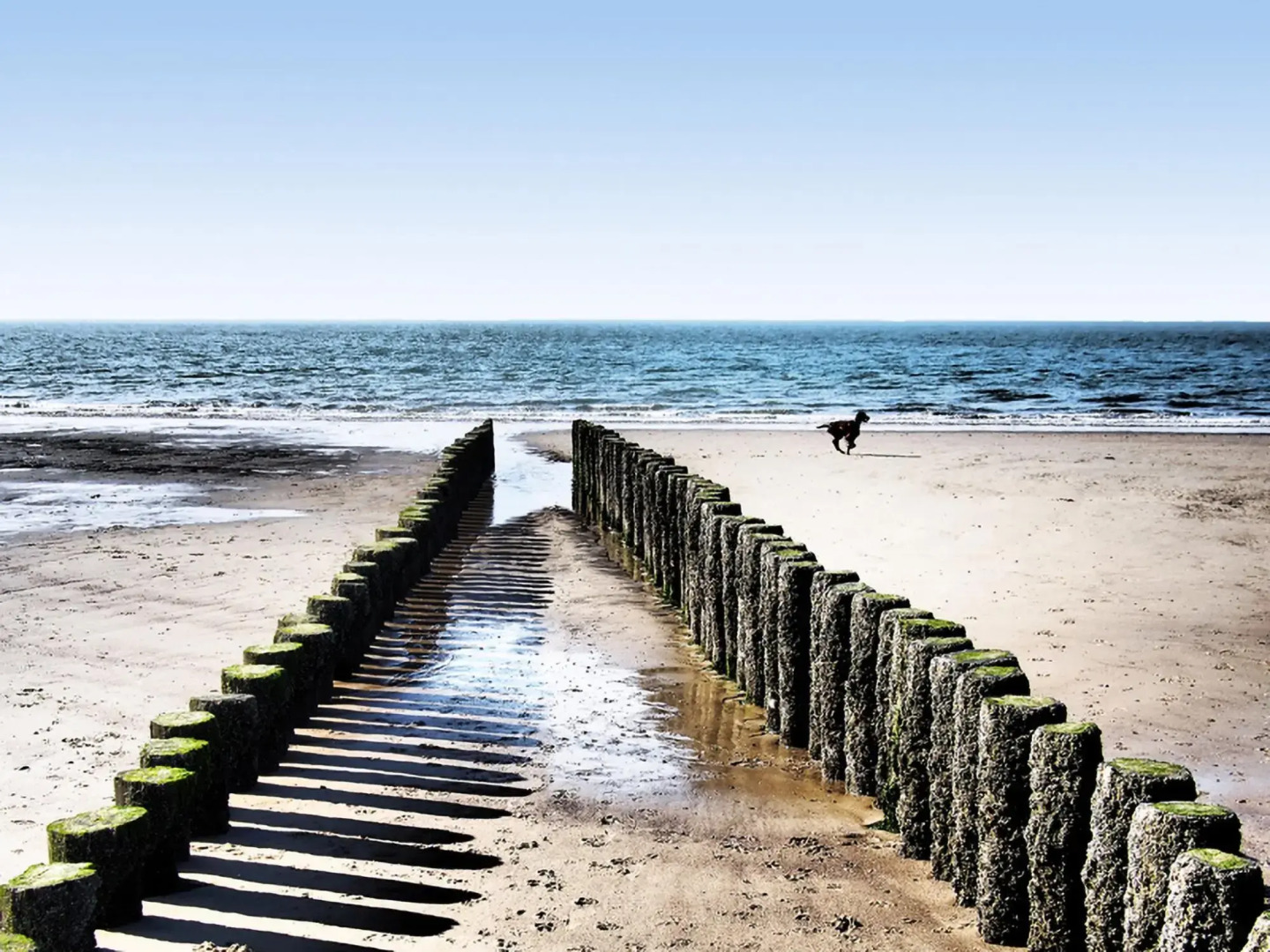 Quaint Holiday Home in Zonnemaire With Roofed Terrace