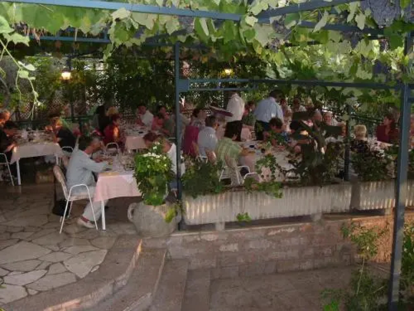 Apartments and Rooms Drago