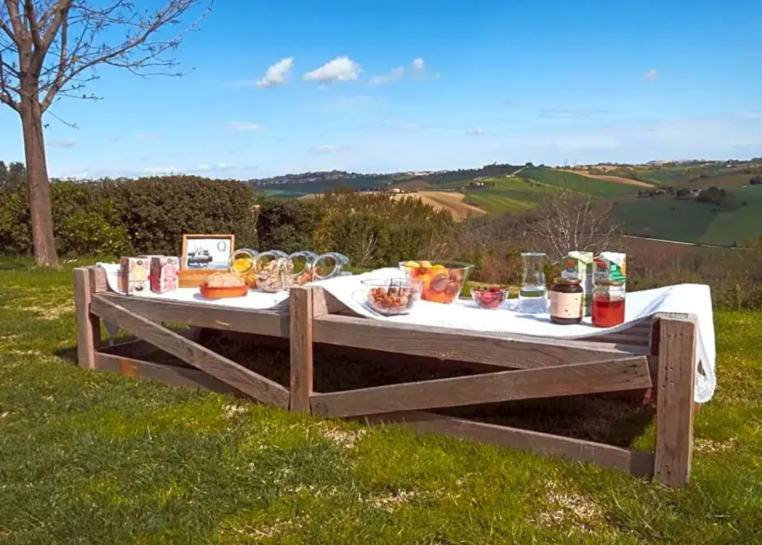 Il Gallo Silvestre - Bed&Books