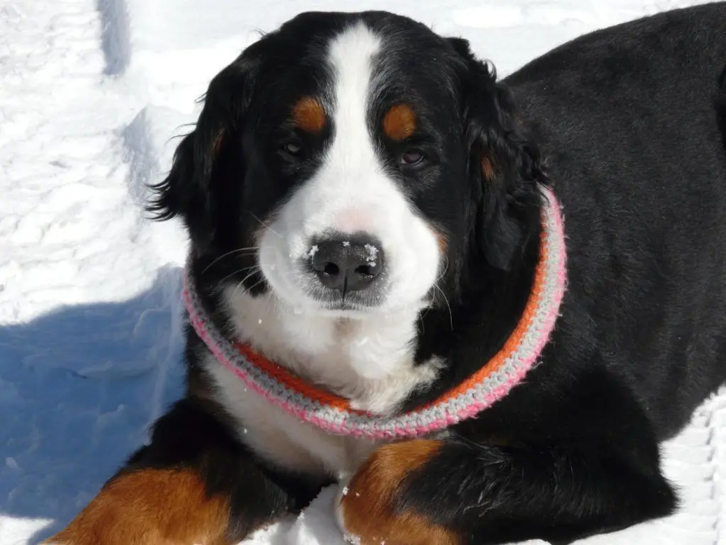 Landhaus Aubauerngut