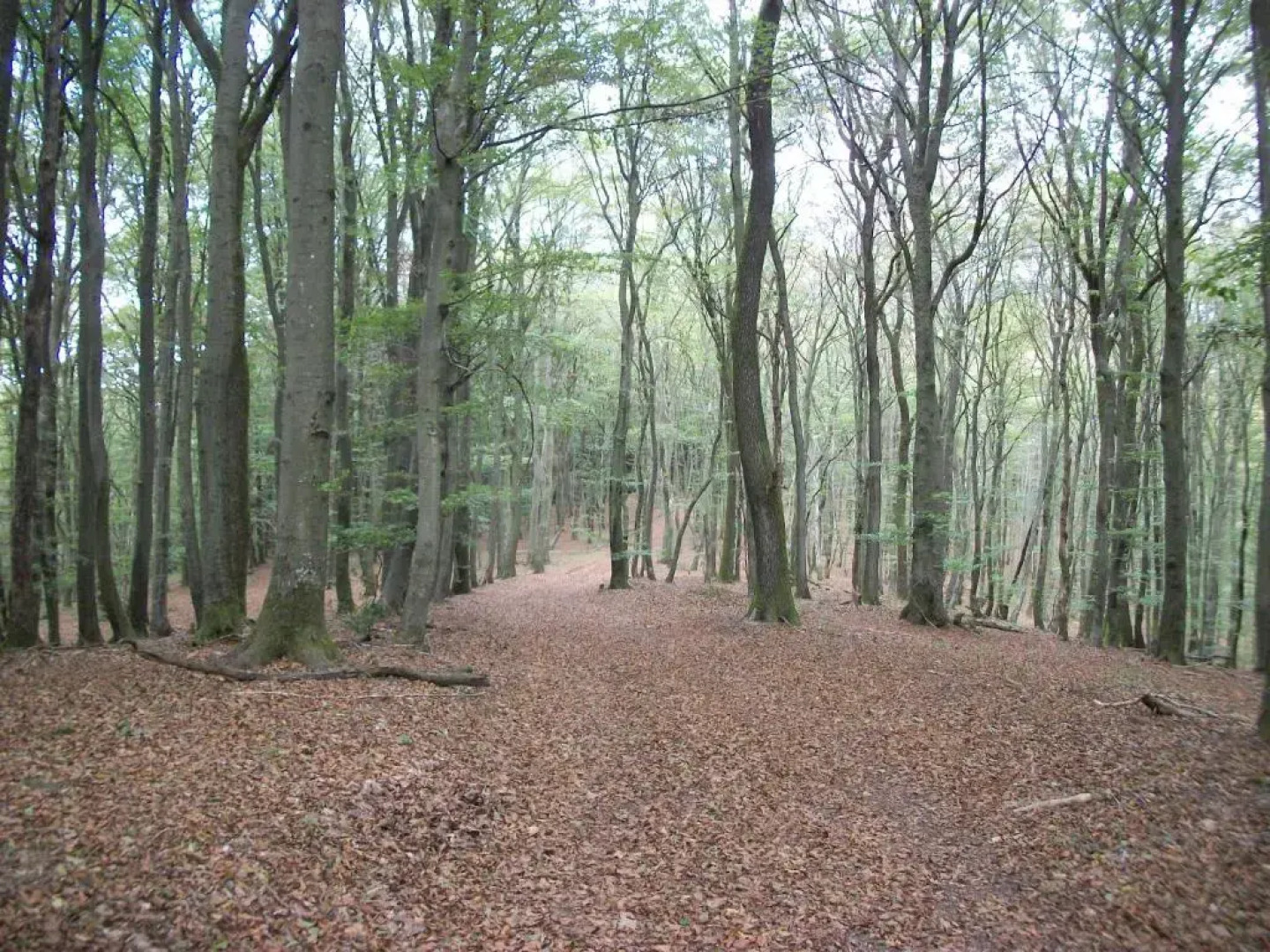 FILD - Holiday Apartment