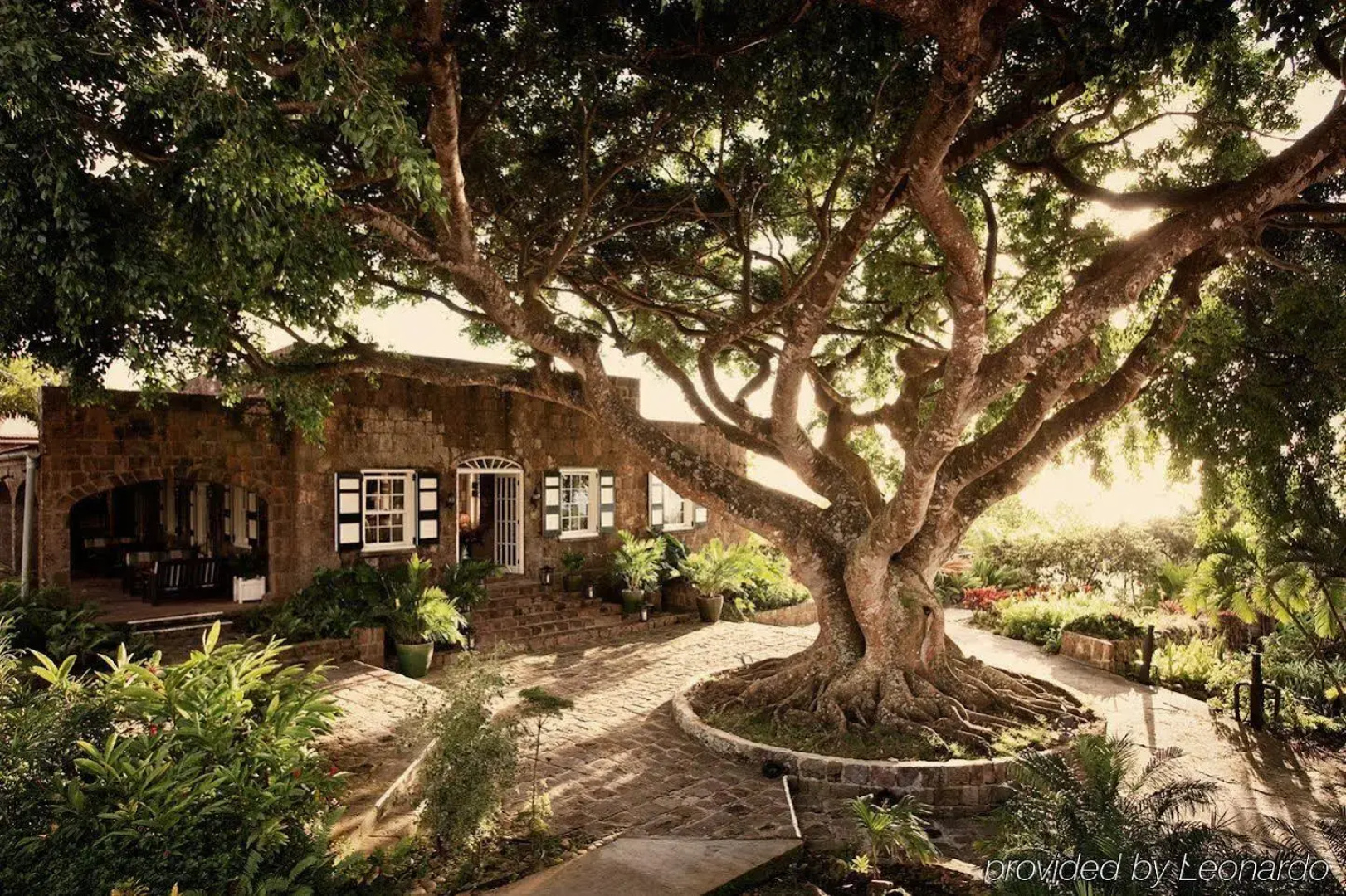 Montpelier Nevis