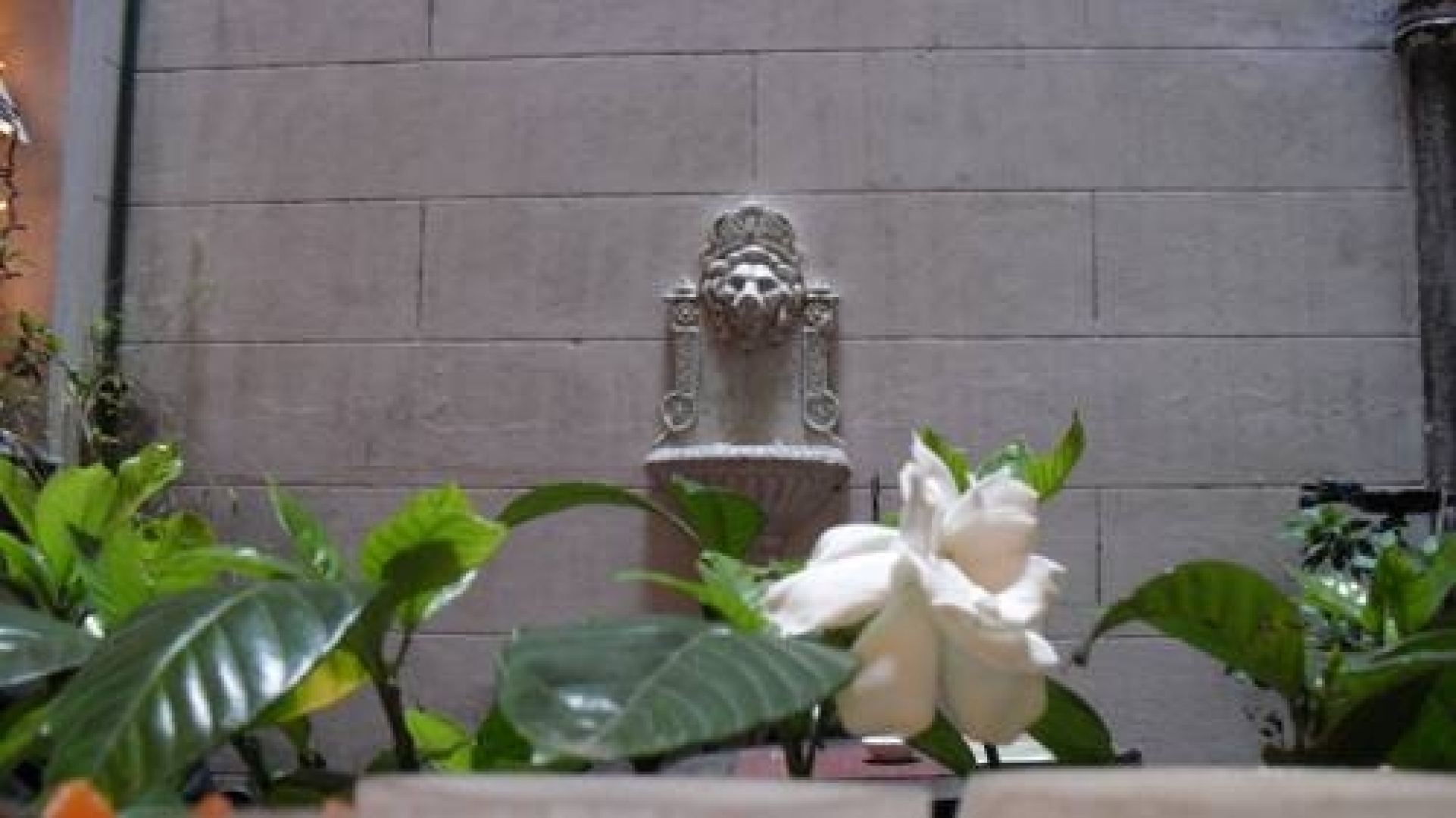 Historico Duplex en el Centro