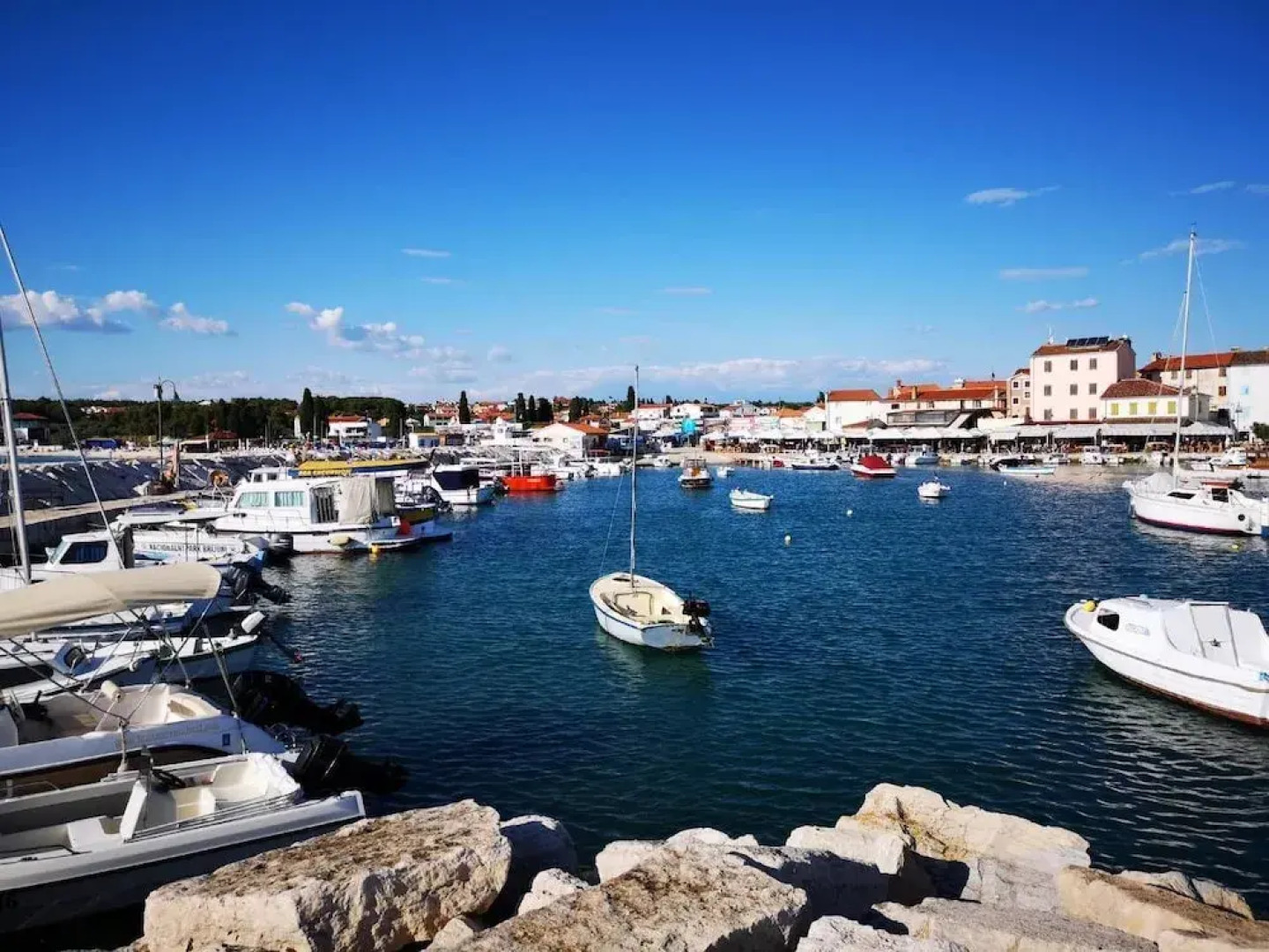 Apartments Đurđica