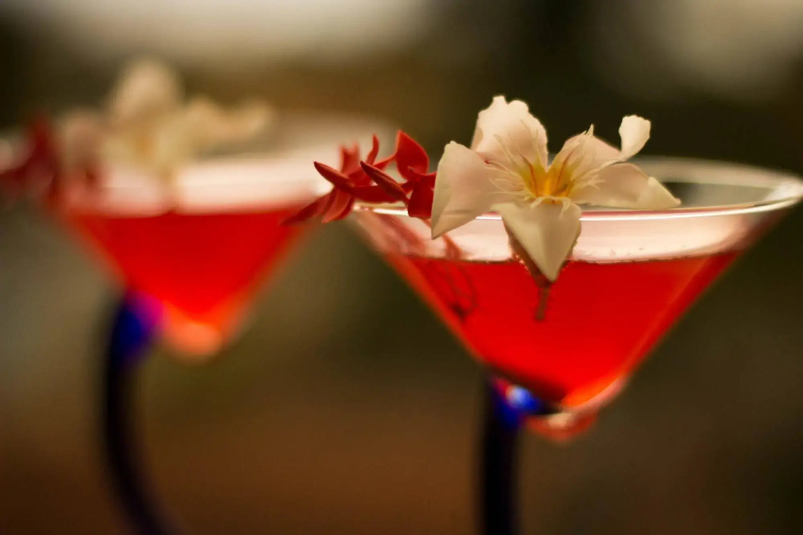 Suites & Hotel Punta Esmeralda