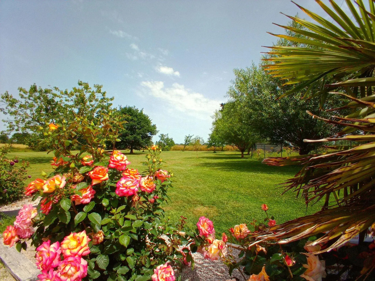 Holiday home on a Norman property,  semi-detached, Bacilly