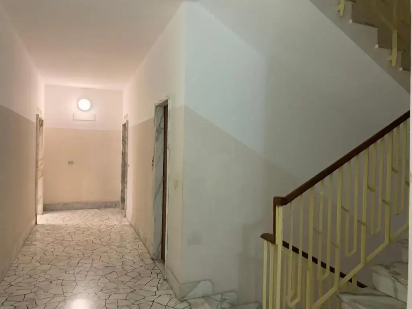 House Sunflower by Holiday World