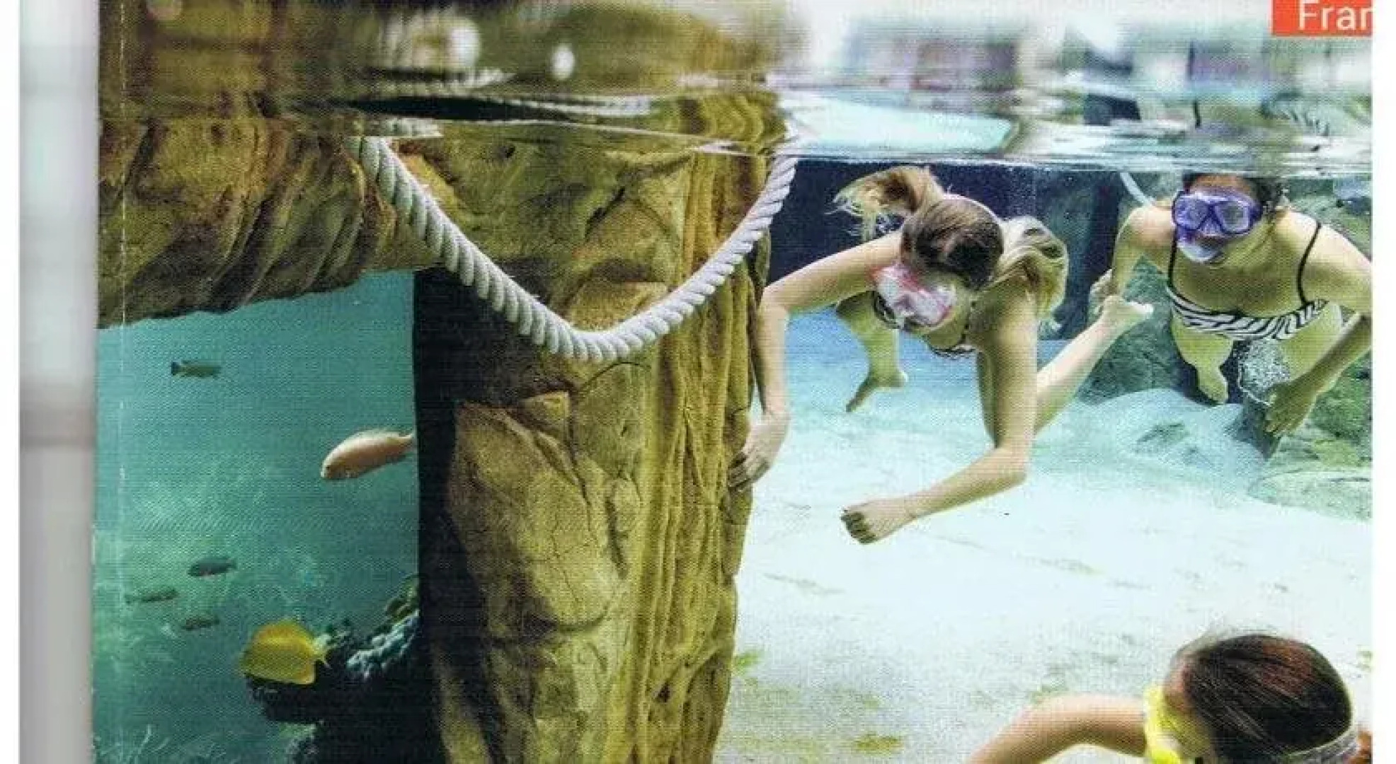 La Bastide de Courcelles